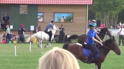 Juste doués - Lamotte 2014