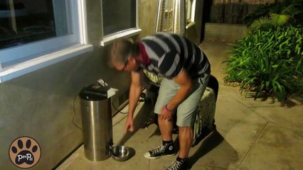 PetPal Automatic Wi-Fi Pet Feeder: Features