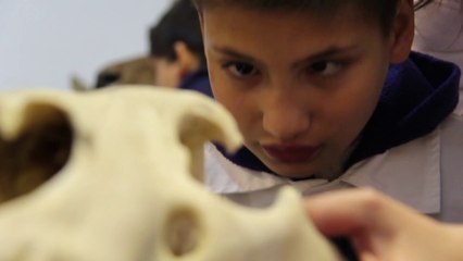 Primer safari sensorial en Uruguay
