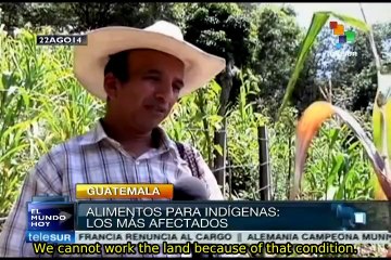 120,000 families in Guatemala will face nutritional vulnerability