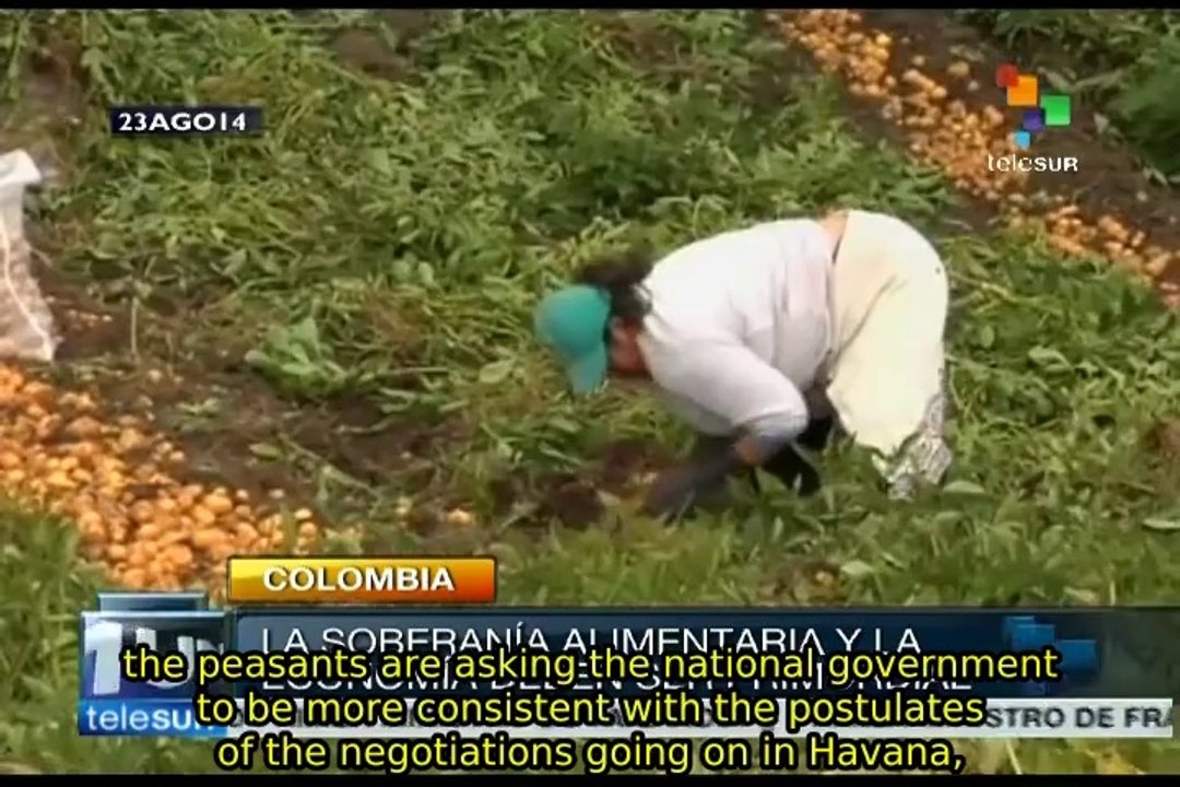 Colombian peasants want a new economic model for Colombia