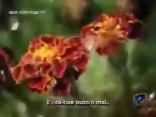 ALZIRO ZARUR_ Oração de José Silvério Horta - PAIVA NETTO - ECUMENISMO - LBV - Santaluz