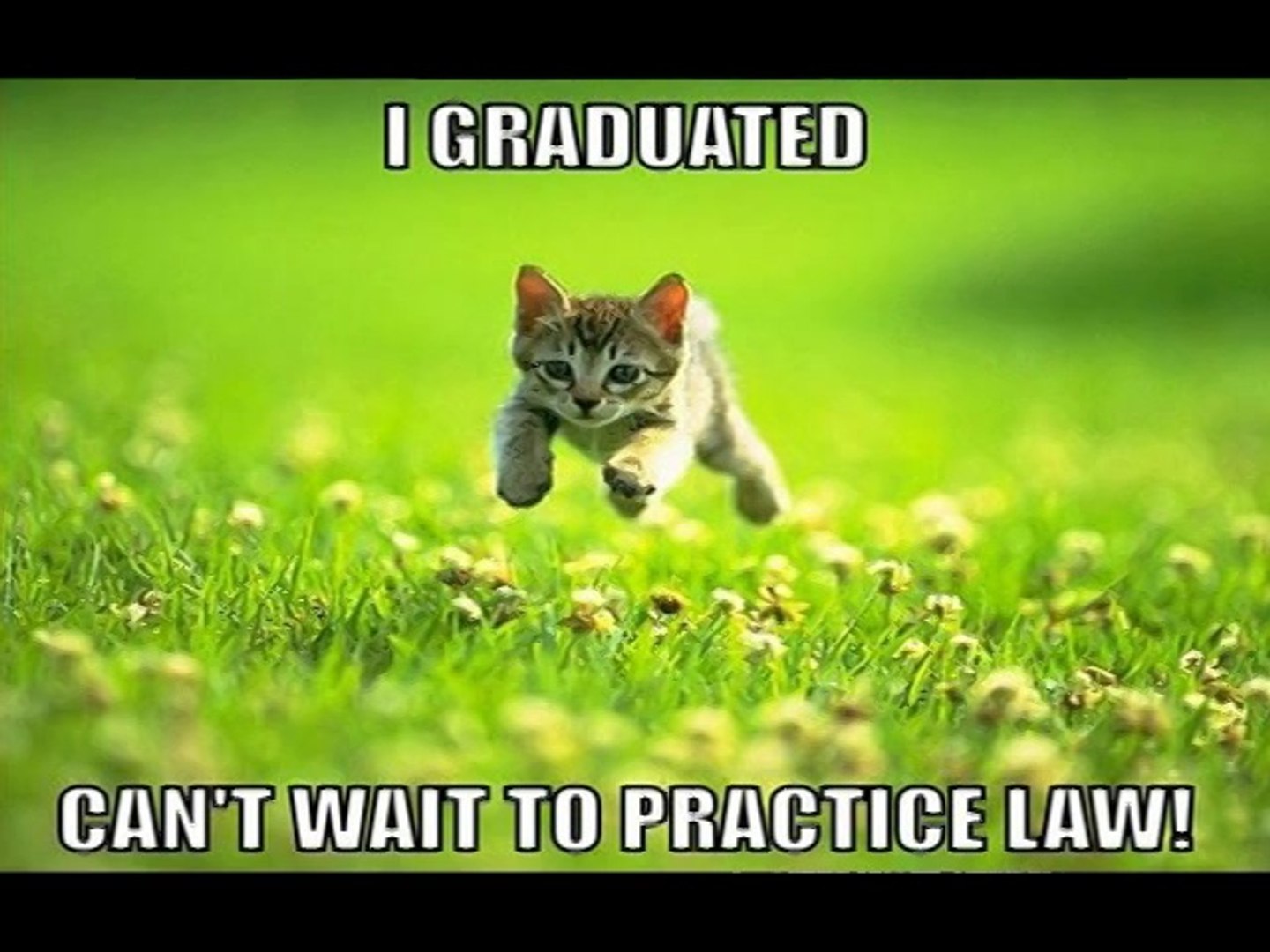 Lawyer Memes - Funny Legal Memes