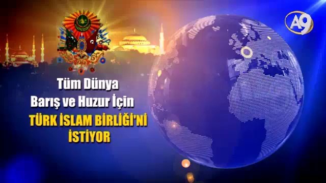 Ali Turhan, Onursal Yargıtay Üyesi