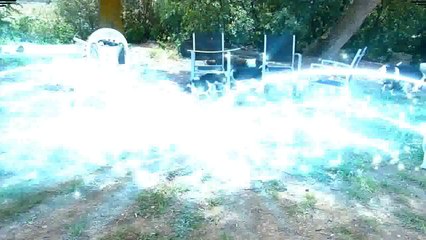 Mafalda's Border Collie -Visita de Pam-3ª parte.