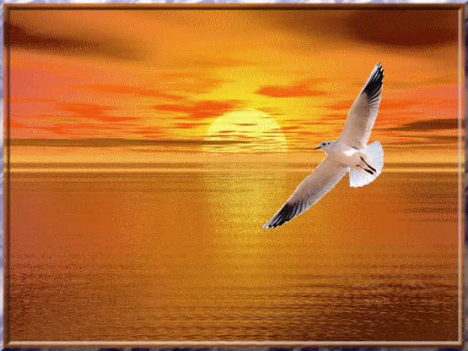 Ömer Suman  : Beklerim hergün bu sahillerde