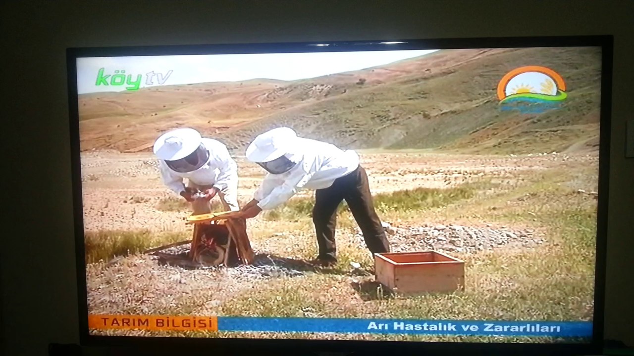 Arı Hastalıkları ve Zararlıları