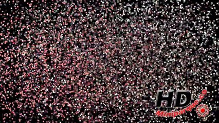 Slow las mas bellas mujeres de la cabalgata Caicedonia valle 104 años (38)