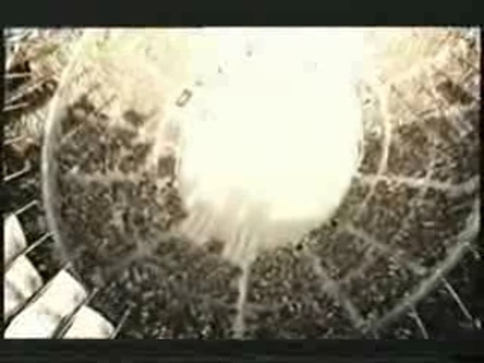 Britney, Beyonce and Pink {LW}