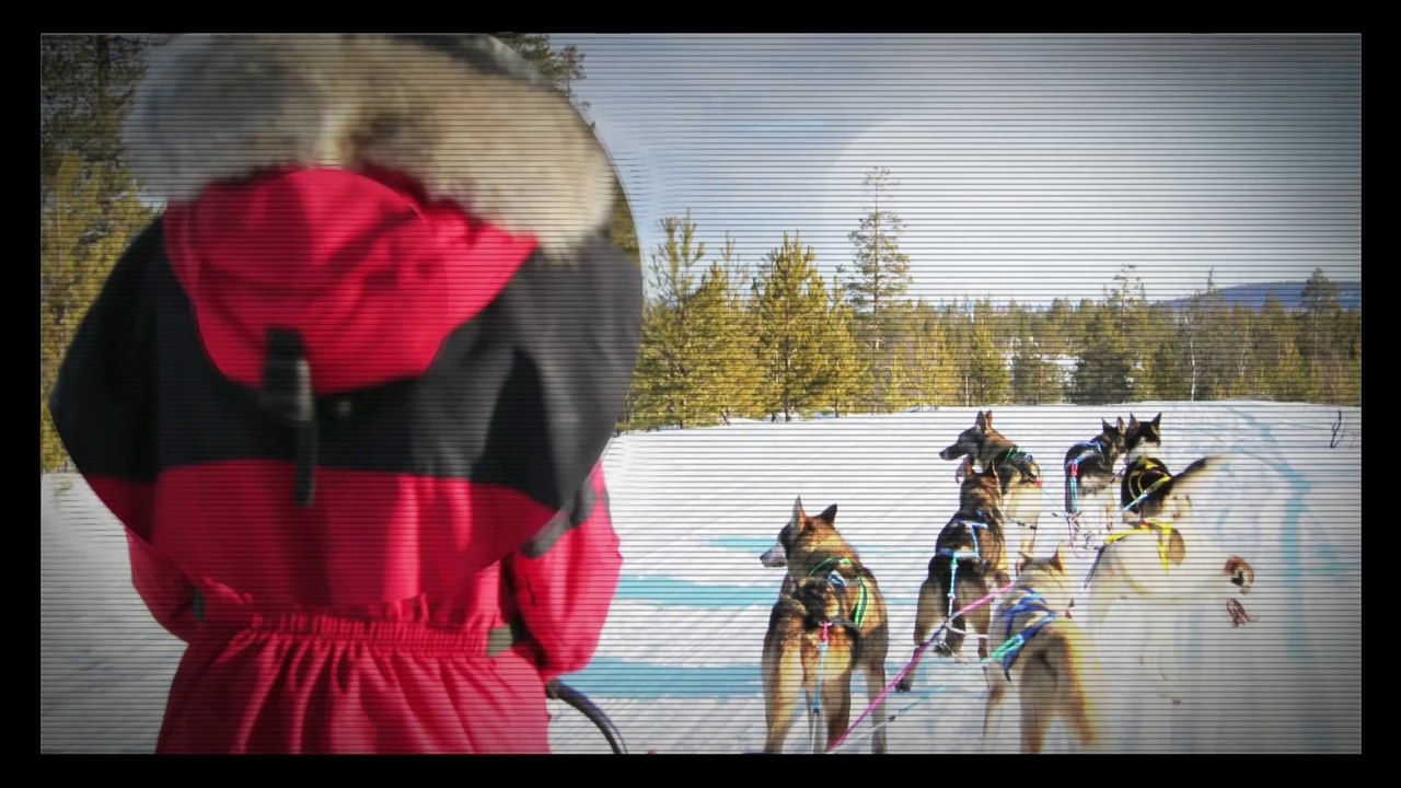 2014 L'envie d'aimer 10 commandements piano