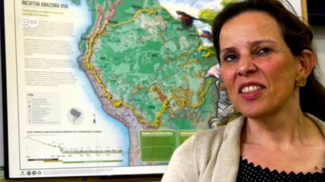 Inventario en el Amazonas: científicos buscan nuevas especies | Global 3000