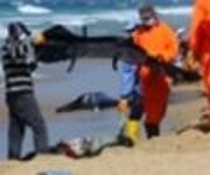 Ölü sayısı 200'ü geçti