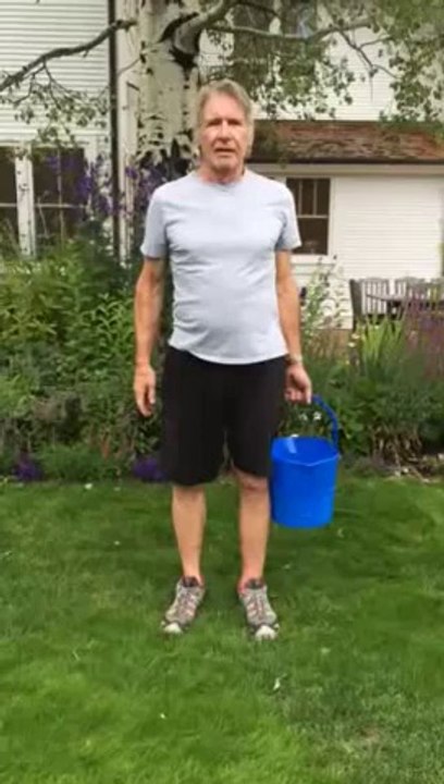 Ice Bucket Challenge de Harrison Ford