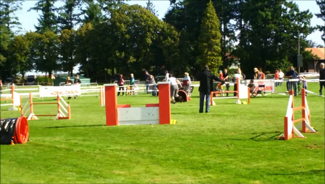 heaven nationale belge 2014