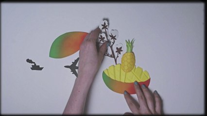 Idée Reçue 2 :  Le Commerce Equitable concurrence la production française