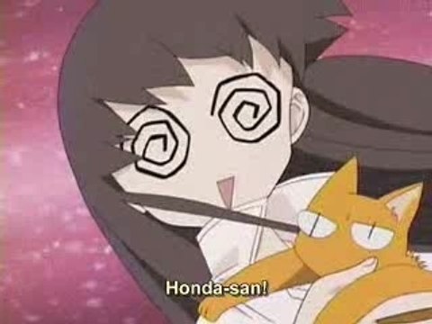 AMV - FRUITS BASKET - Kyo