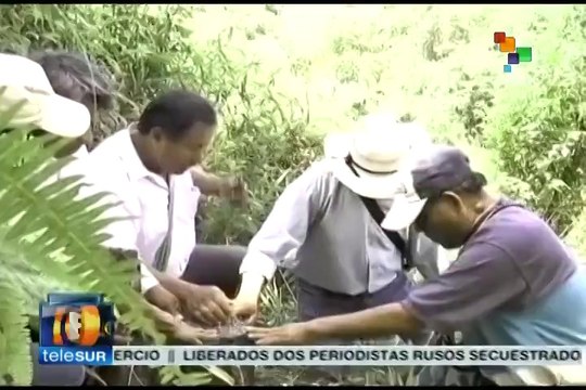 Indígenas guatemaltecos exigen al Estado les devuelva sus tierras