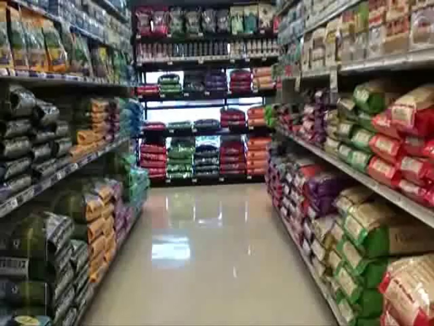 Ultimate Dog Tease- Dog Goes Shopping!