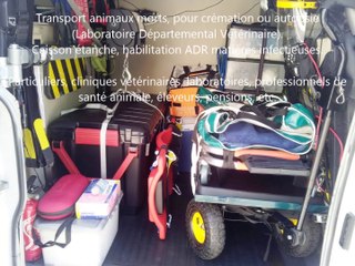 interview France Bleu ambulance animalière
