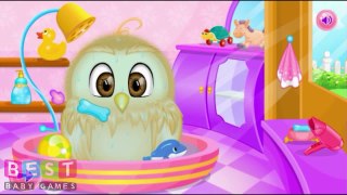 ღ Baby Owl Care TV Show Video Game