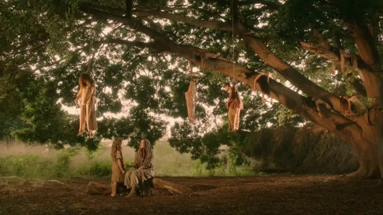 Hiba Tawaji - Al Rabih Al Arabi / هبه طوجي - الربيع العربي