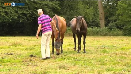 Grote kans dat we de paardenbeul hiermee pakken - RTV Noord