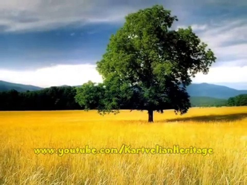Tsin Tskaro - Hamlet Gonashvili. The best georgian folk singer