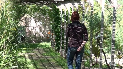 Couleur Garance : le jardin conservatoire des plantes tinctoriales