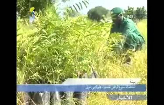 GRAND JTV TCHAD ARABE DU MARDI 26 AOUT 2014 SUR TOL