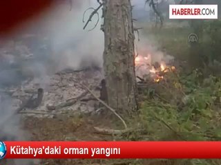Kütahya'daki orman yangını
