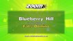 Zoom Karaoke - Blueberry Hill - Fats Domino