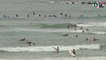 Biarritz  |  Surfing  Cote des Basques  |  Euskadi Surf TV