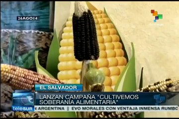 Download Video: El Salvador:ONG piden aprobar Ley de Soberanía y Seguridad Alimentaria