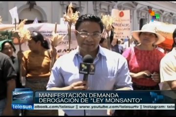 Indígenas rechazan "Ley Monsanto" en Guatemala