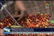 Industrai cafetalera colombiana prevé recuperación