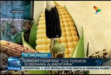 El Salvador: 200 organizations demand approval of Food Security Law