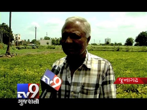 Water crisis due scanty rains, Cotton, Peanut crops affected in Gujarat - Tv9 Gujarati