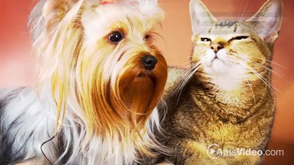 Lakeshore Village Apartments in Racine, WI - ForRent.com