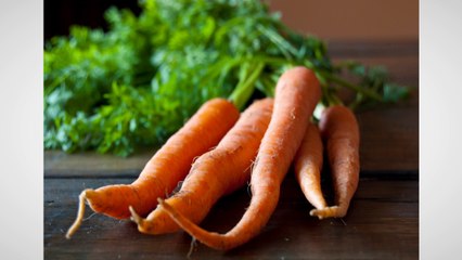 Paleo Recipe Book Pdf Download Free Bonus