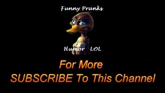 Air Crash Averted By Amazing Female Wing Walker, 1910