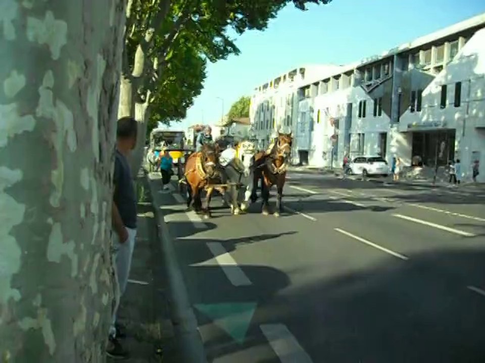 Défilé de la commémoration à Avignon, le 5 août 2014