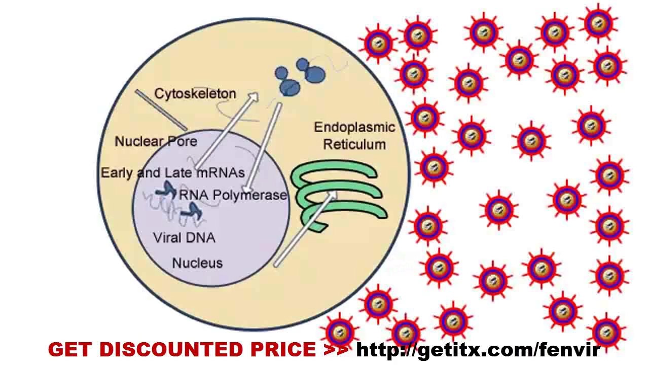 How To Get Rid Of Herpes Within 3 Days - Herpes Simplex Treatment (HSV 1 and HSV 2 Cure)