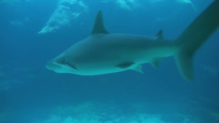 Philip Cottrell Spain and Gibraltar