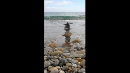 LE DUR DESIR DE DURER