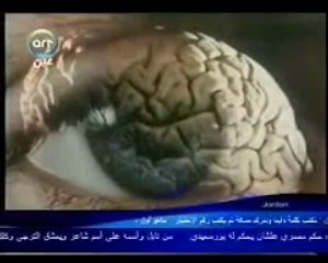 تطور المخ البشري _ العلم والإيمان