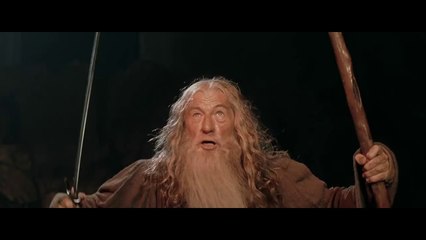 Lord of Rings : Vous ne passerez pas !