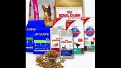 Buy Dog Food and Accessories online in India @ moooou.com