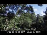 [강남오피 봉우리]아찔한밤 강남오피정보
