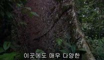 [강남오피 37.2]아찔한밤 강남오피정보