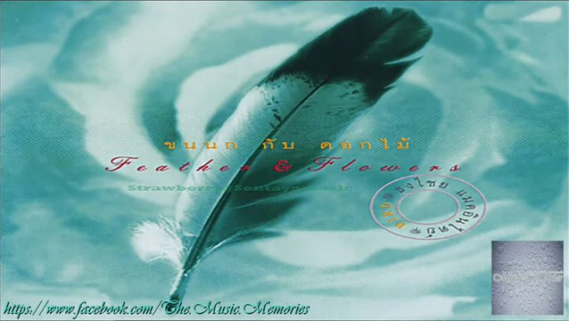 ธงไชย แมคอินไตย์ อัลบั้ม ขนนก กับ ดอกไม้ (ปี พ.ศ.2838)[HD][BY Music Memories]